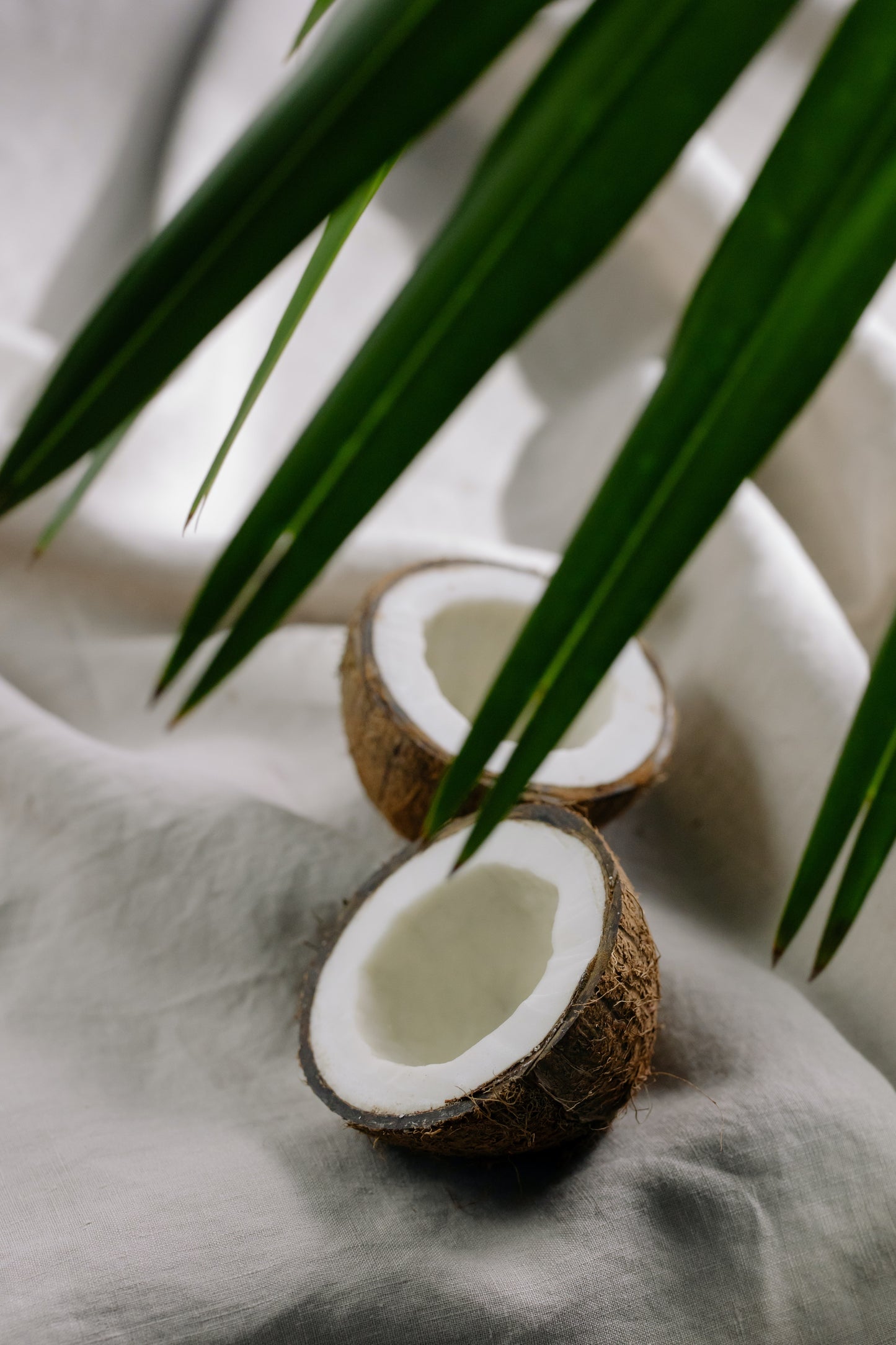 Cozy Days Face Cream